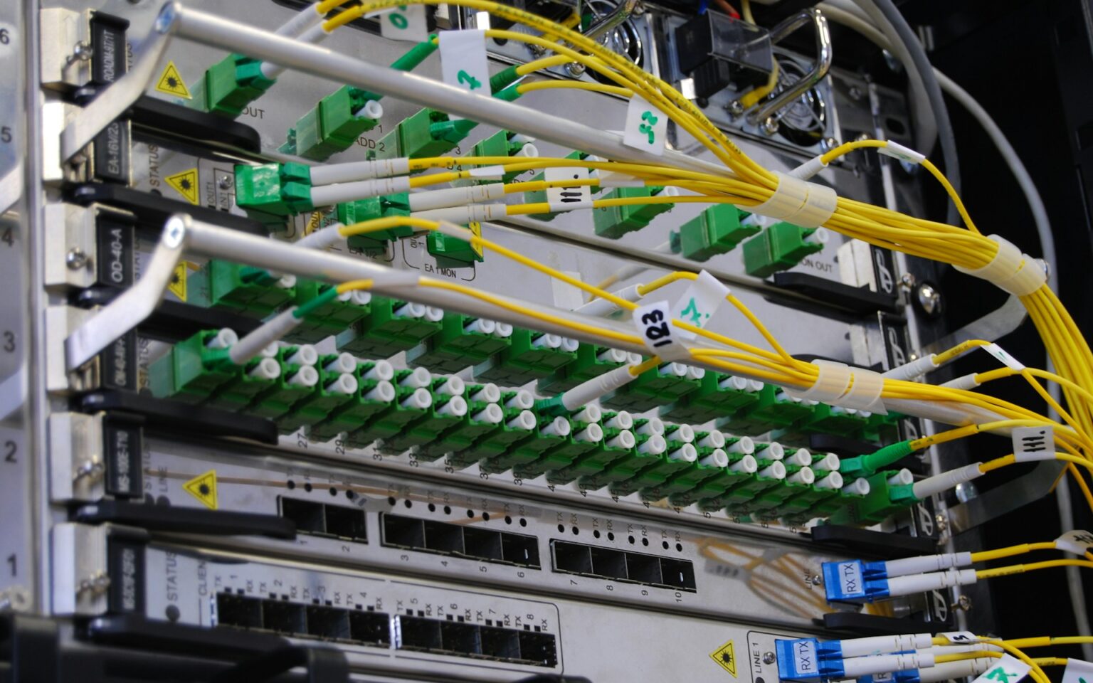 Câbles de fibre optique branchés dans une baie réseau